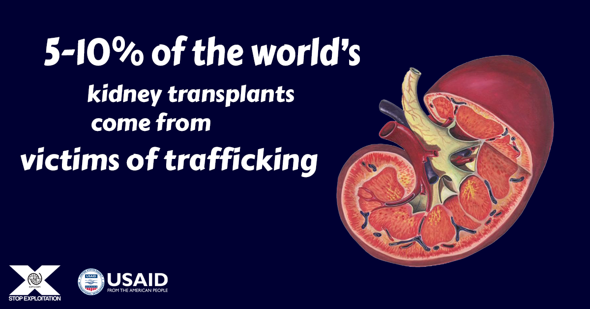 ORGANized Crime: Trafficking for Organ Removal